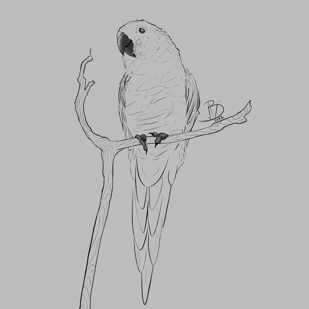 Bird Study I
