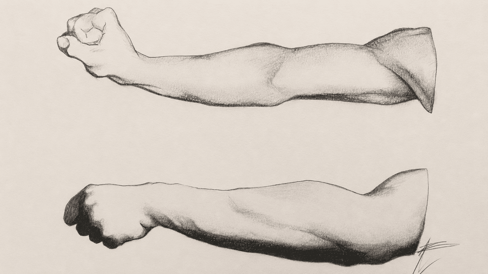 Bargue Arms