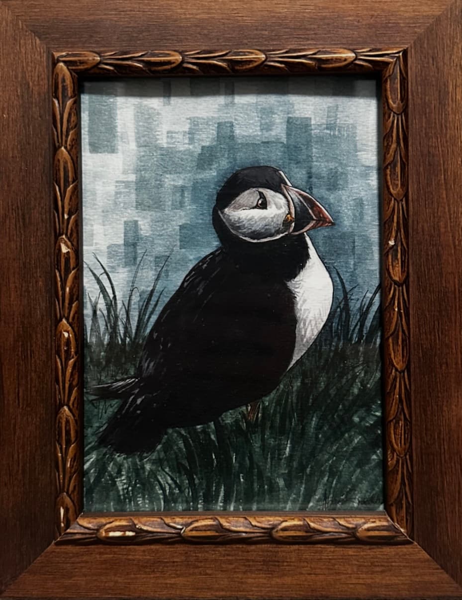 Puffin Study