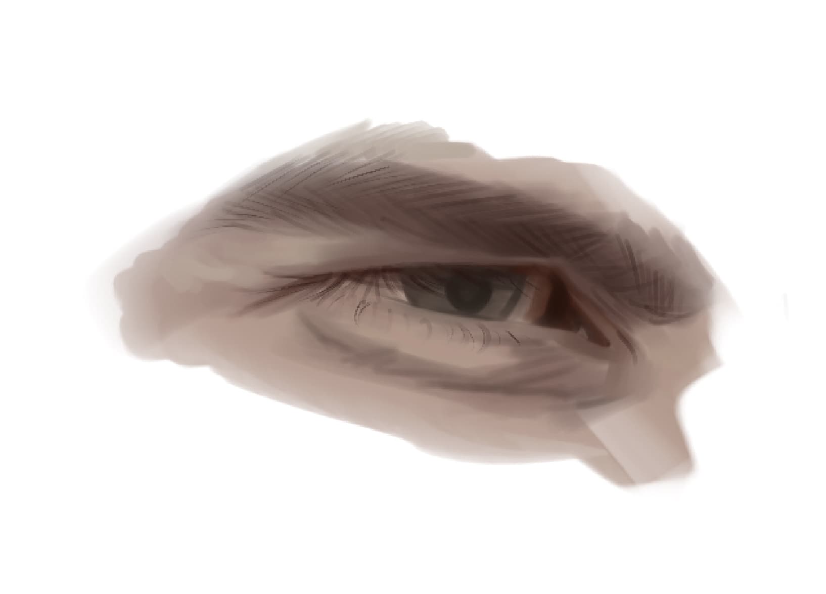 Eye XIII