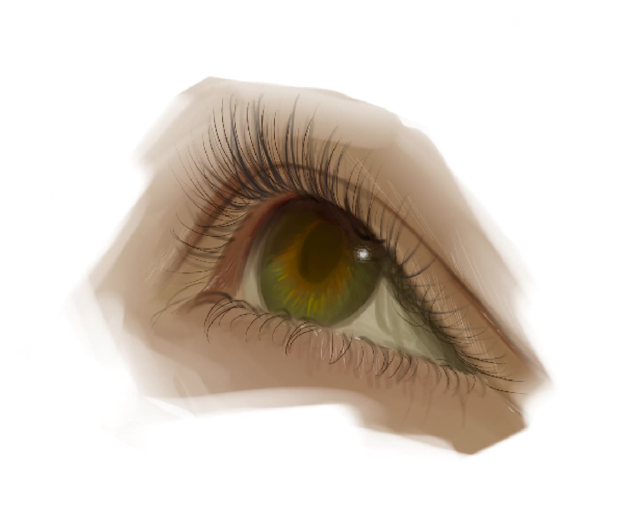 Eye XIV